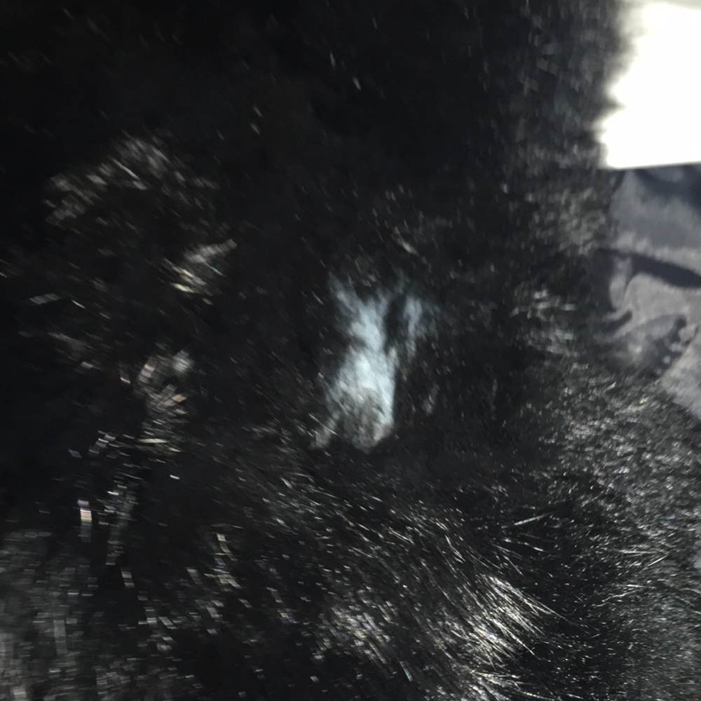 Vintage Rabbit Fur Coat - Picture 3 of 8